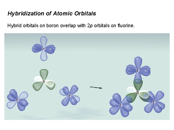 Hybridization of Atomic Orbitals Hybrid orbitals on boron overlap with 2 p orbitals on