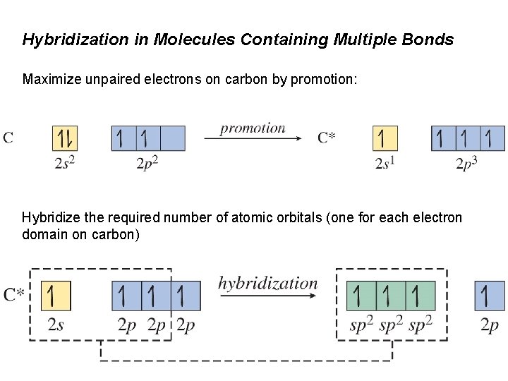 Hybridization in Molecules Containing Multiple Bonds Maximize unpaired electrons on carbon by promotion: Hybridize