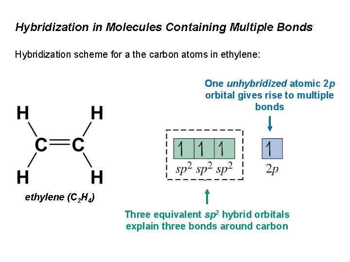 Hybridization in Molecules Containing Multiple Bonds Hybridization scheme for a the carbon atoms in