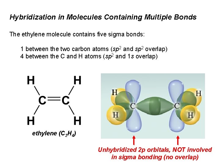 Hybridization in Molecules Containing Multiple Bonds The ethylene molecule contains five sigma bonds: 1