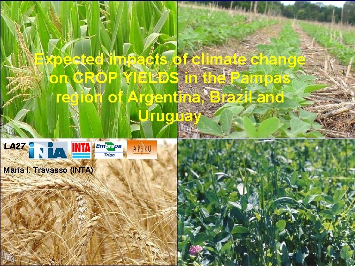 Expected impacts of climate change on CROP YIELDS in the Pampas region of Argentina,