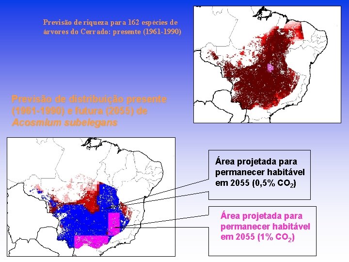 Previsão de riqueza para 162 espécies de árvores do Cerrado: presente (1961 -1990) Previsão