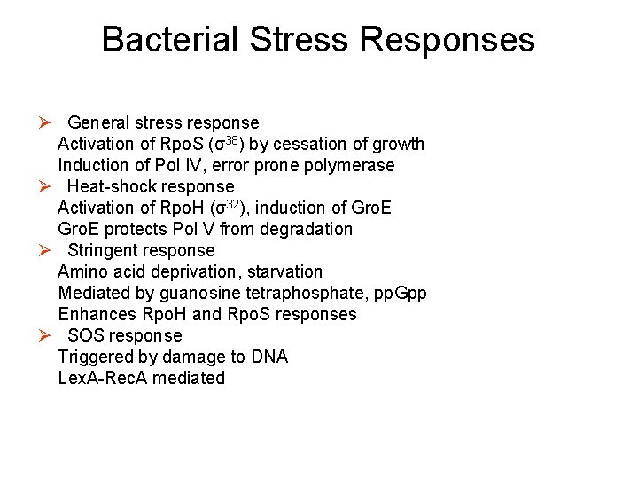 Bacterial Stress Responses Ø General stress response Activation of Rpo. S (σ38) by cessation