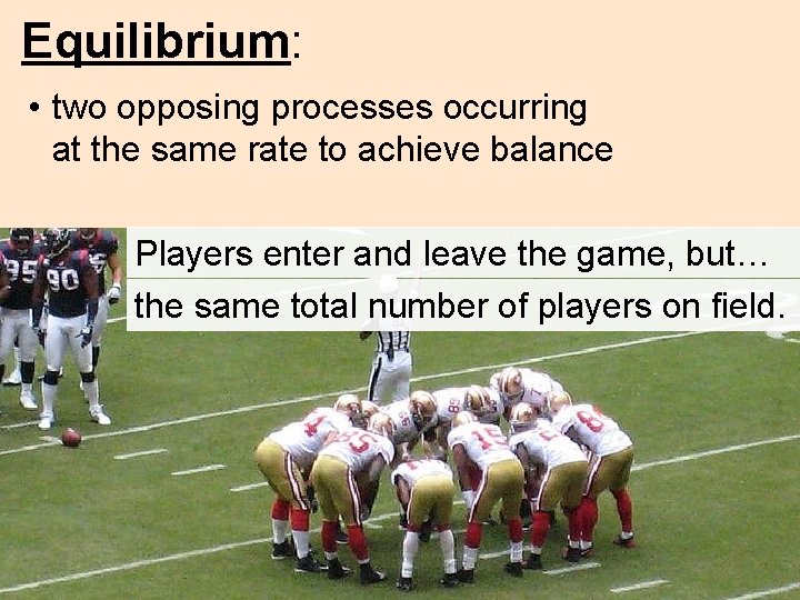 Equilibrium: • two opposing processes occurring at the same rate to achieve balance Players