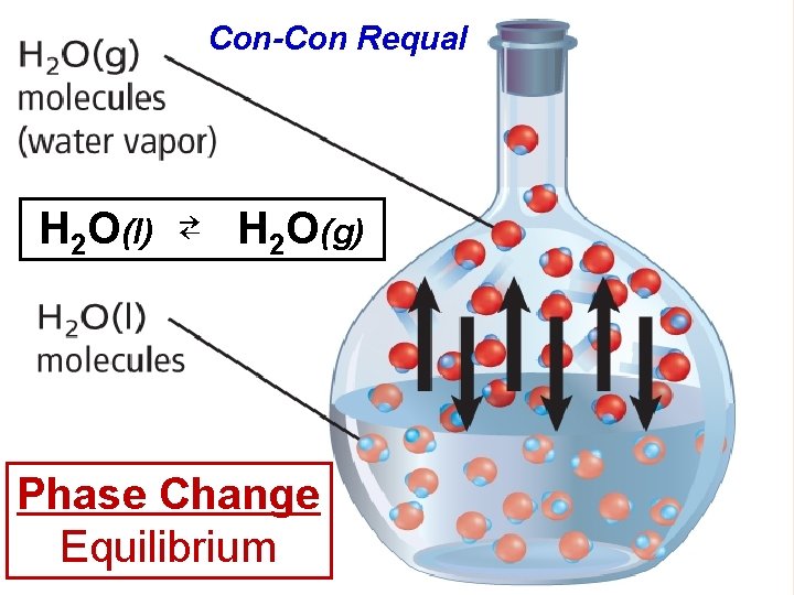 Con-Con Requal H 2 O(l) ⇄ H 2 O(g) Phase Change Equilibrium 