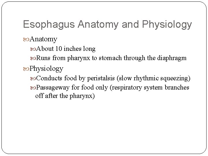 Esophagus Anatomy and Physiology Anatomy About 10 inches long Runs from pharynx to stomach
