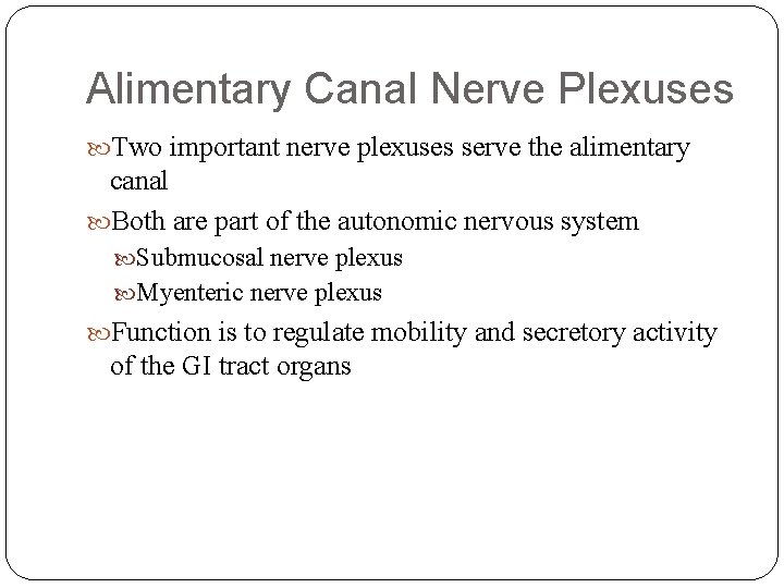 Alimentary Canal Nerve Plexuses Two important nerve plexuses serve the alimentary canal Both are