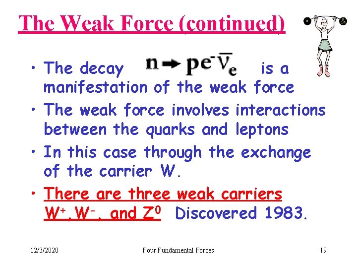 The Weak Force (continued) • The decay is a manifestation of the weak force
