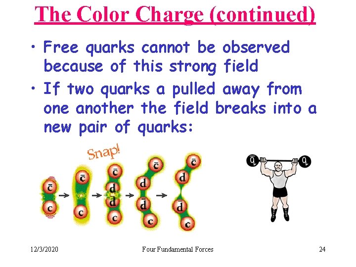 The Color Charge (continued) • Free quarks cannot be observed because of this strong