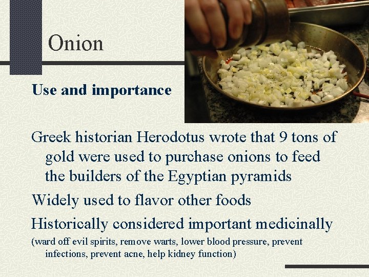 Onion Use and importance Greek historian Herodotus wrote that 9 tons of gold were