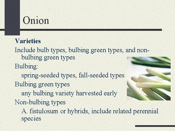 Onion Varieties Include bulb types, bulbing green types, and nonbulbing green types Bulbing: spring-seeded