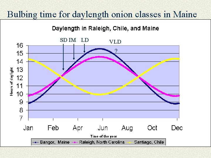 Bulbing time for daylength onion classes in Maine SD IM LD VLD ? 
