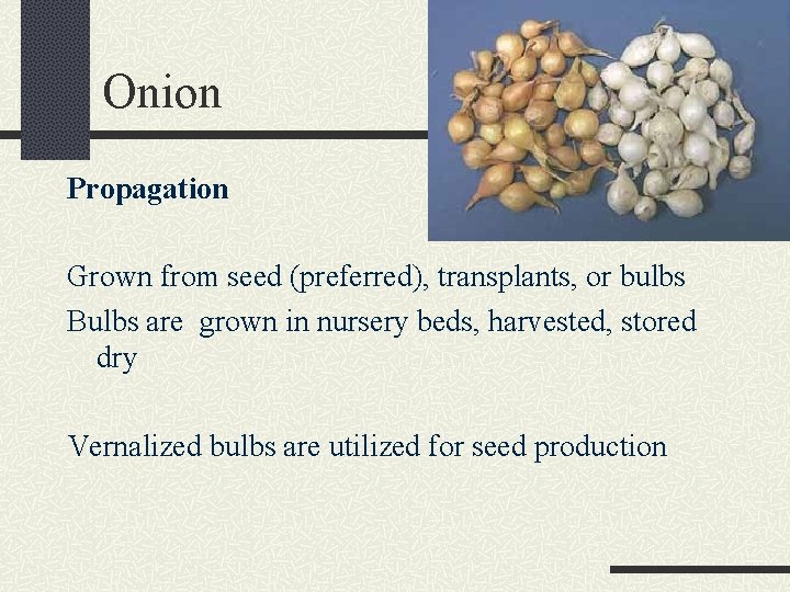 Onion Propagation Grown from seed (preferred), transplants, or bulbs Bulbs are grown in nursery