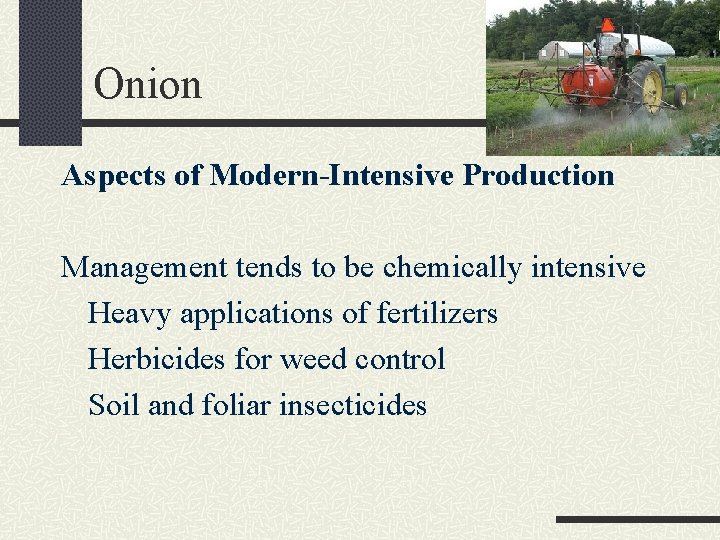Onion Aspects of Modern-Intensive Production Management tends to be chemically intensive Heavy applications of