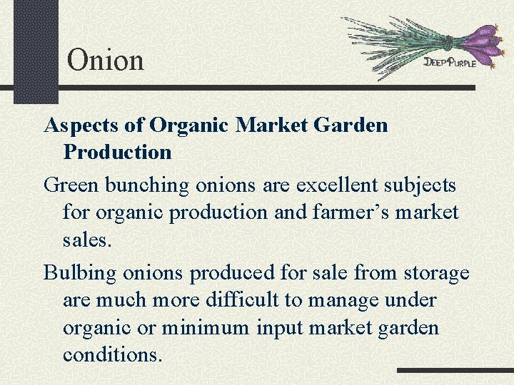 Onion Aspects of Organic Market Garden Production Green bunching onions are excellent subjects for