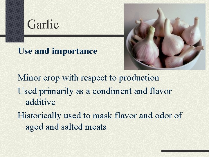 Garlic Use and importance Minor crop with respect to production Used primarily as a