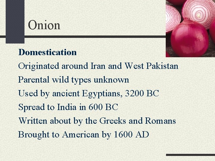 Onion Domestication Originated around Iran and West Pakistan Parental wild types unknown Used by