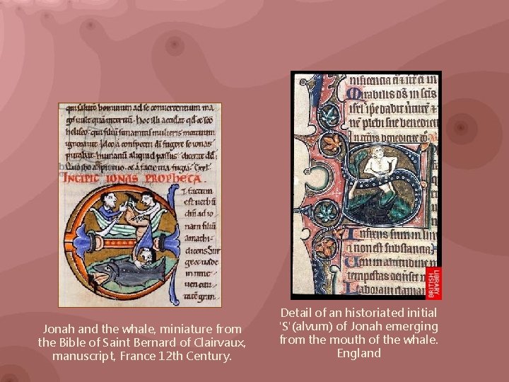 Jonah and the whale, miniature from the Bible of Saint Bernard of Clairvaux, manuscript,