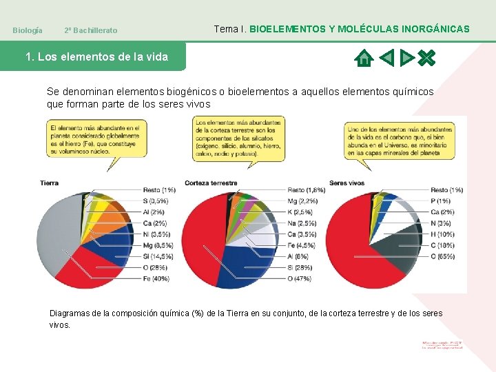 Biología 2º Bachillerato Tema I. BIOELEMENTOS Y MOLÉCULAS INORGÁNICAS 1. Los elementos de la