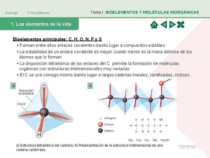 Biología 2º Bachillerato Tema I. BIOELEMENTOS Y MOLÉCULAS INORGÁNICAS 1. Los elementos de la