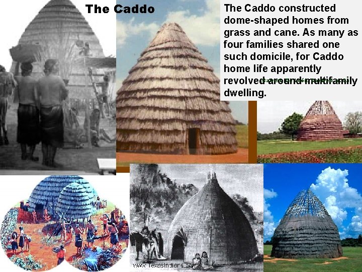 The Caddo constructed dome-shaped homes from grass and cane. As many as four families