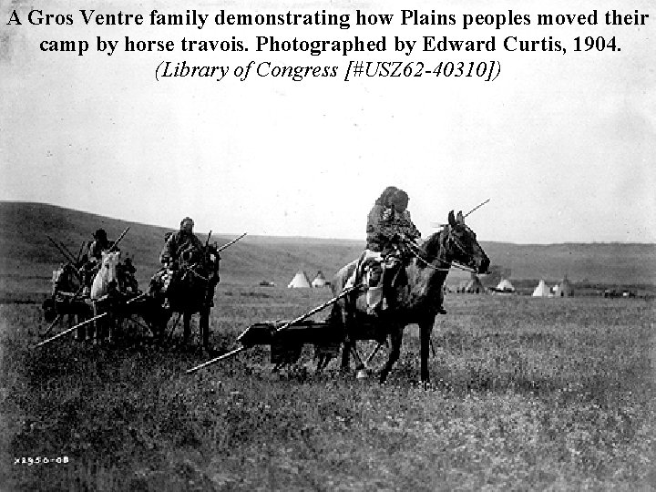 A Gros Ventre family demonstrating how Plains peoples moved their camp by horse travois.