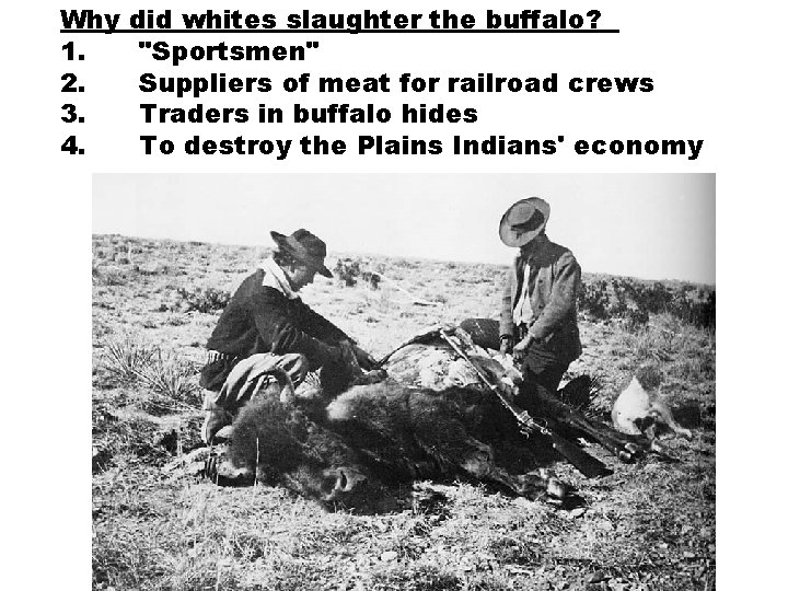 Why 1. 2. 3. 4. did whites slaughter the buffalo? "Sportsmen" Suppliers of meat