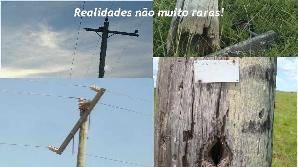 Realidades não muito raras! 