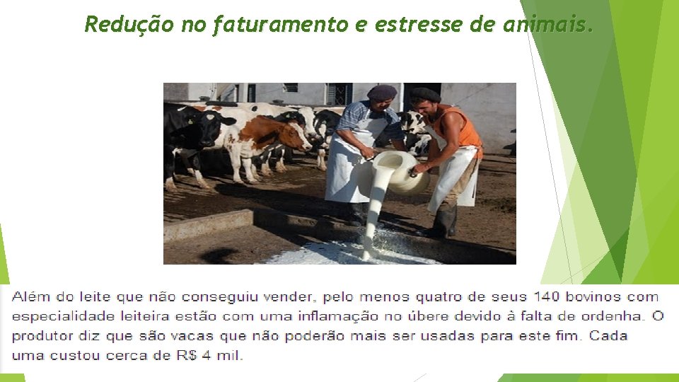 Redução no faturamento e estresse de animais. 