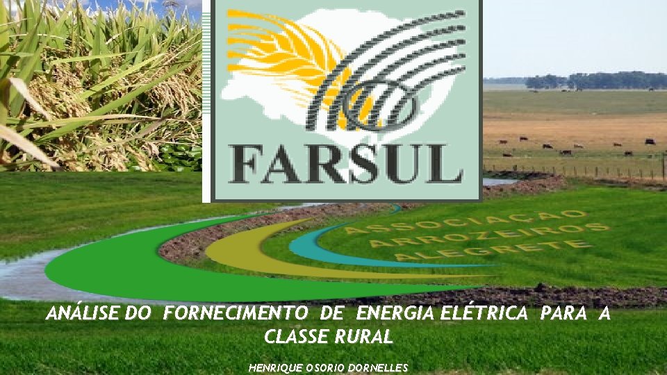 ANÁLISE DO FORNECIMENTO DE ENERGIA ELÉTRICA PARA A CLASSE RURAL HENRIQUE OSORIO DORNELLES 