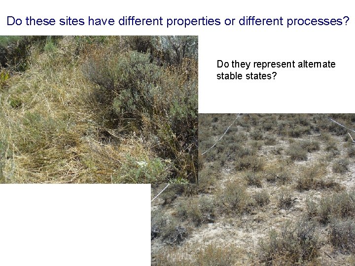 Do these sites have different properties or different processes? Do they represent alternate stable