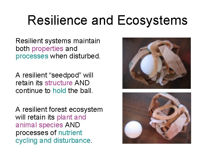 Resilience and Ecosystems Resilient systems maintain both properties and processes when disturbed. A resilient