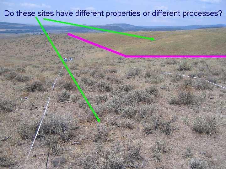 Do these sites have different properties or different processes? 