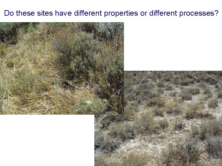 Do these sites have different properties or different processes? 