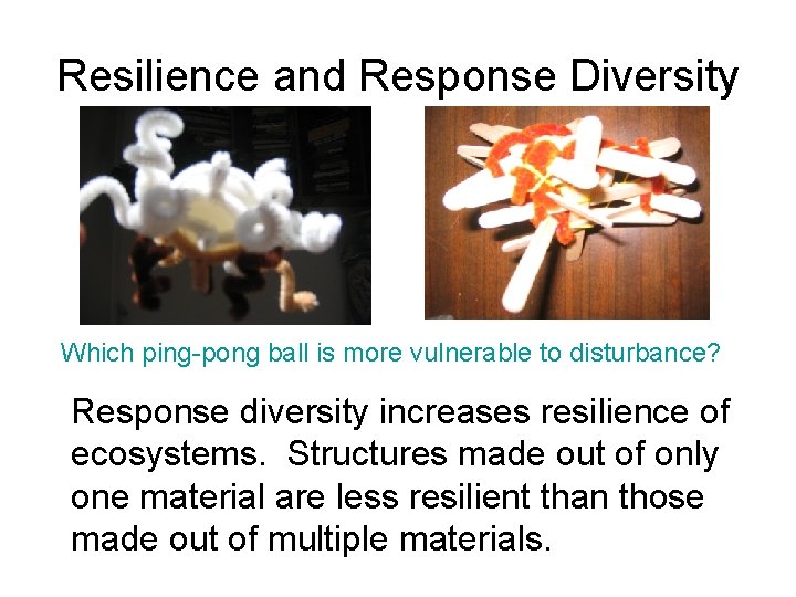 Resilience and Response Diversity Which ping-pong ball is more vulnerable to disturbance? Response diversity