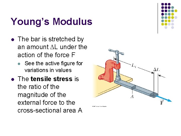 Young’s Modulus l The bar is stretched by an amount DL under the action