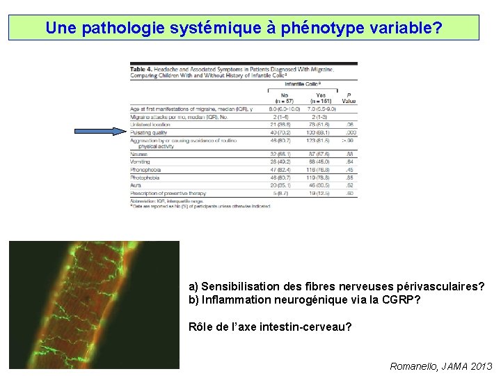 Une pathologie systémique à phénotype variable? a) Sensibilisation des fibres nerveuses périvasculaires? b) Inflammation