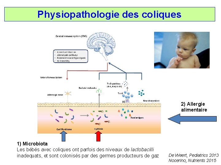 Physiopathologie des coliques 2) Allergie alimentaire 1) Microbiota Les bébés avec coliques ont parfois