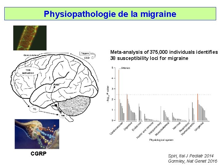 Physiopathologie de la migraine Meta-analysis of 375, 000 individuals identifies 38 susceptibility loci for
