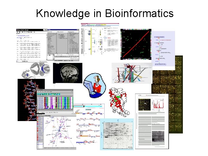 Knowledge in Bioinformatics 
