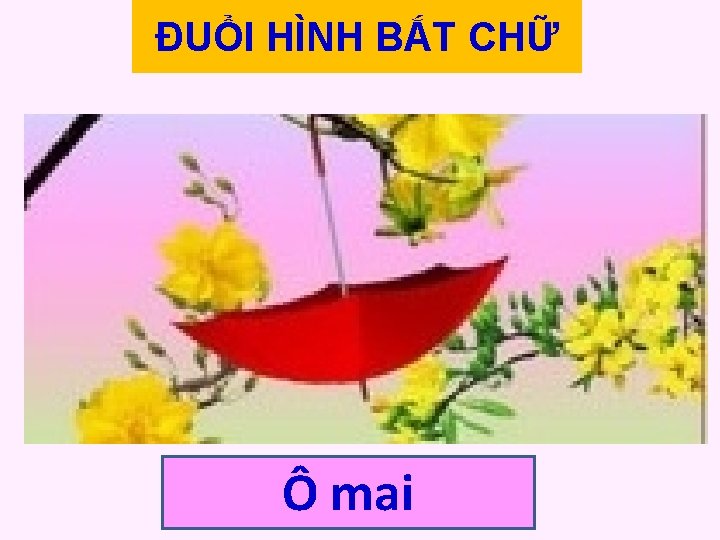 ĐUỔI HÌNH BẮT CHỮ Ô mai 