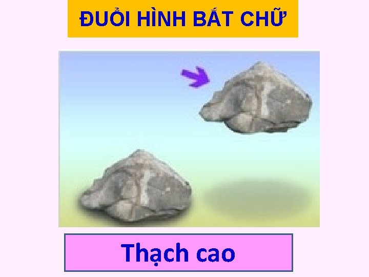 ĐUỔI HÌNH BẮT CHỮ Thạch cao 