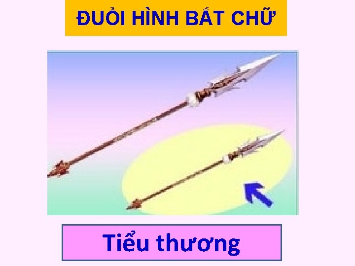 ĐUỔI HÌNH BẮT CHỮ Tiểu thương ĐUỔI HÌNH BẮT CHỮ Tiểu thương