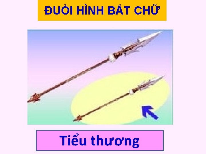 ĐUỔI HÌNH BẮT CHỮ Tiểu thương 