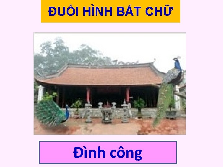 ĐUỔI HÌNH BẮT CHỮ Đình công ĐUỔI HÌNH BẮT CHỮ Đình công