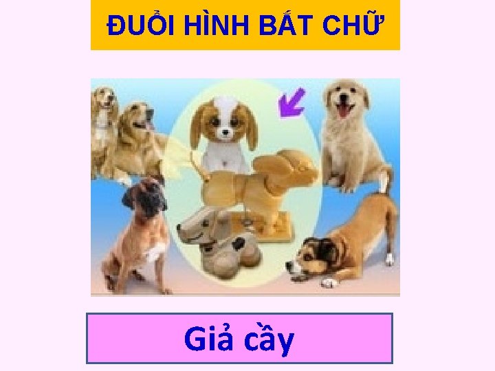 ĐUỔI HÌNH BẮT CHỮ Giả cầy 