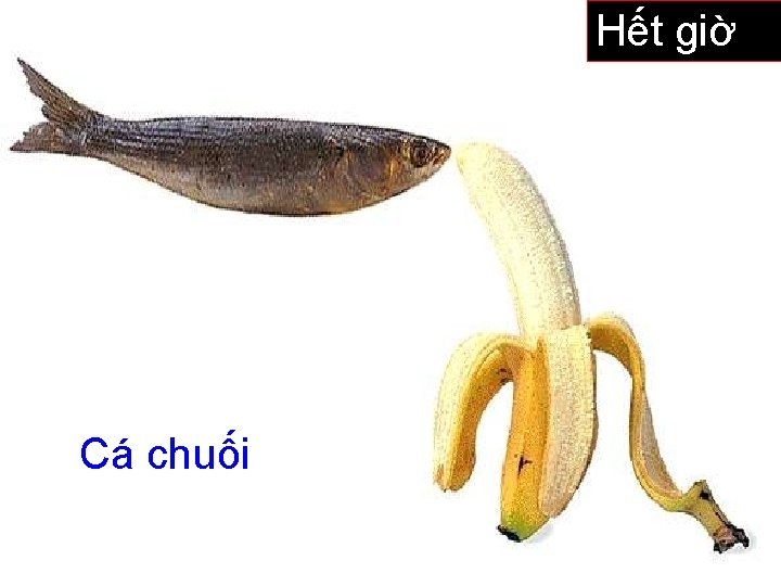 41 5 6 7 8 9 10 11 12 13 14 15 0 Hết 41 5 6 7 8 9 10 11 12 13 14 15 0 Hết