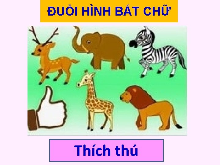 ĐUỔI HÌNH BẮT CHỮ Thích thú 