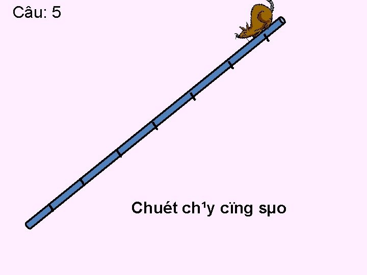 Câu: 5 Chuét ch¹y cïng sµo Câu: 5 Chuét ch¹y cïng sµo