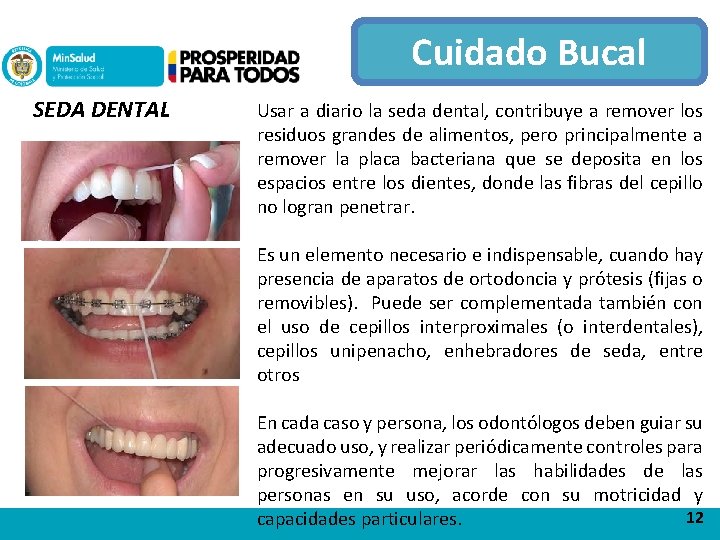 Cuidado Bucal SEDA DENTAL Usar a diario la seda dental, contribuye a remover los